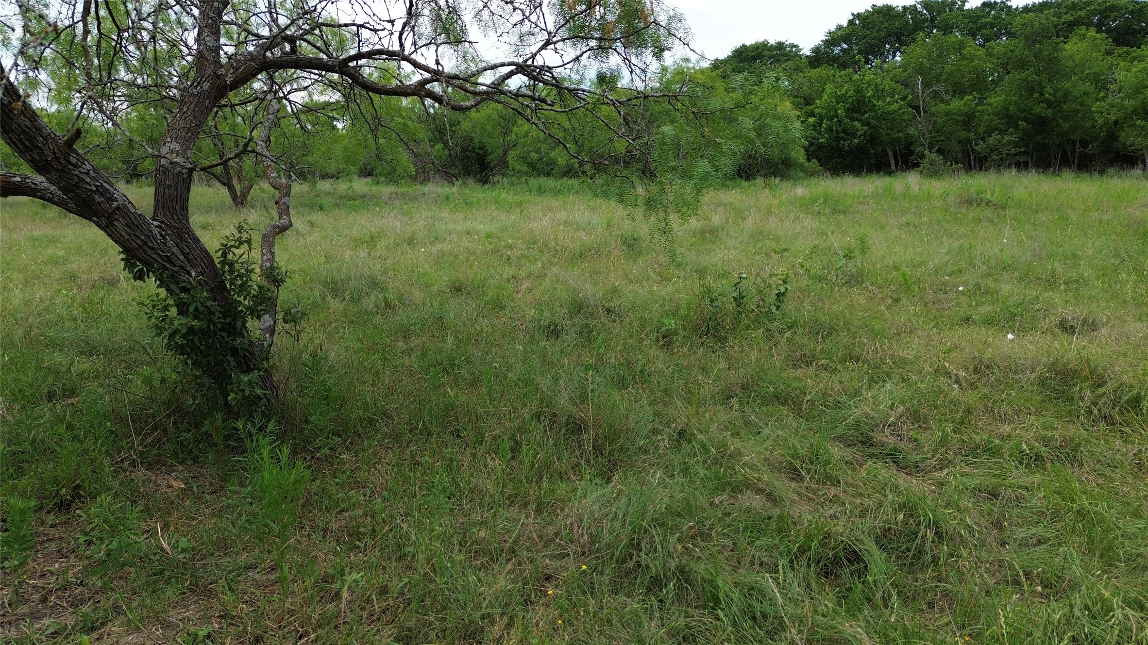 Tbd N County Road 3110 Hillsboro TX 76645