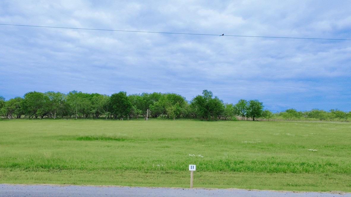 Lot 11 Alfonso Drive Corsicana TX 75110