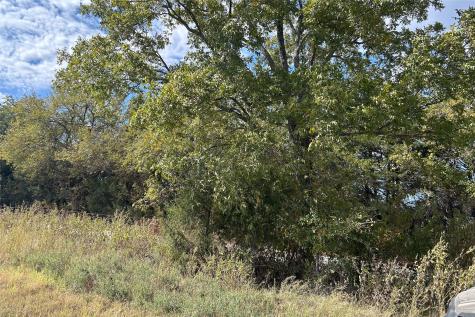 TBD8 County Road 141 Callisburg TX 76240