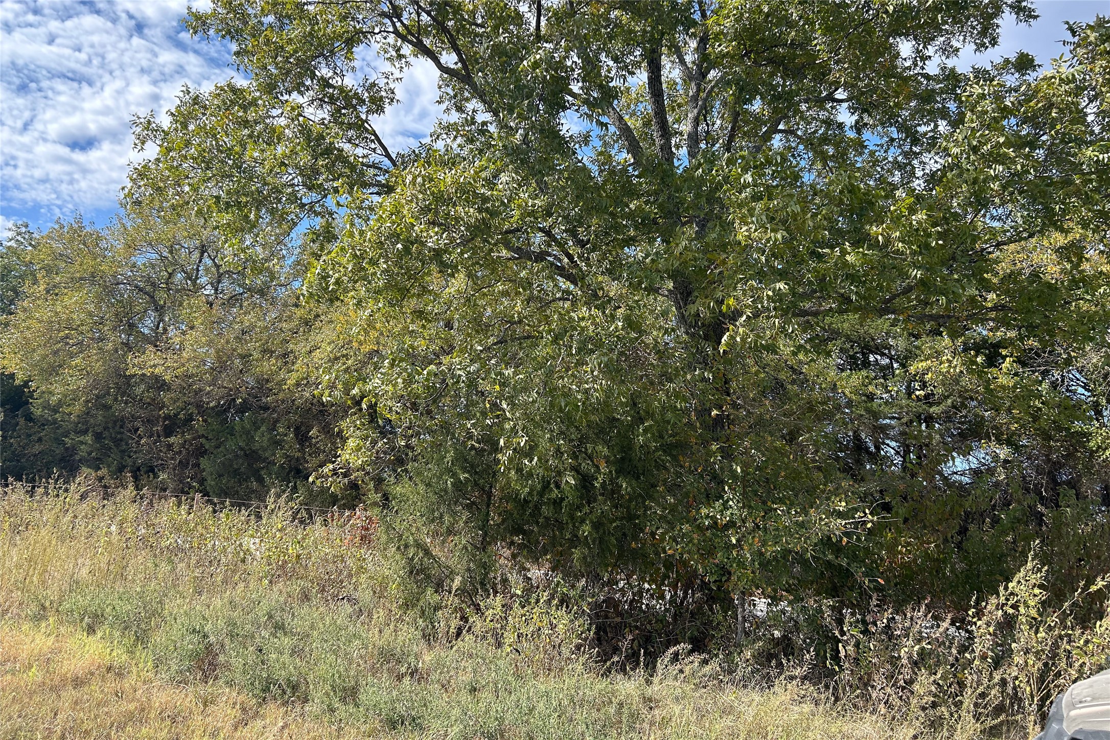 TBD8 County Road 141 Callisburg TX 76240