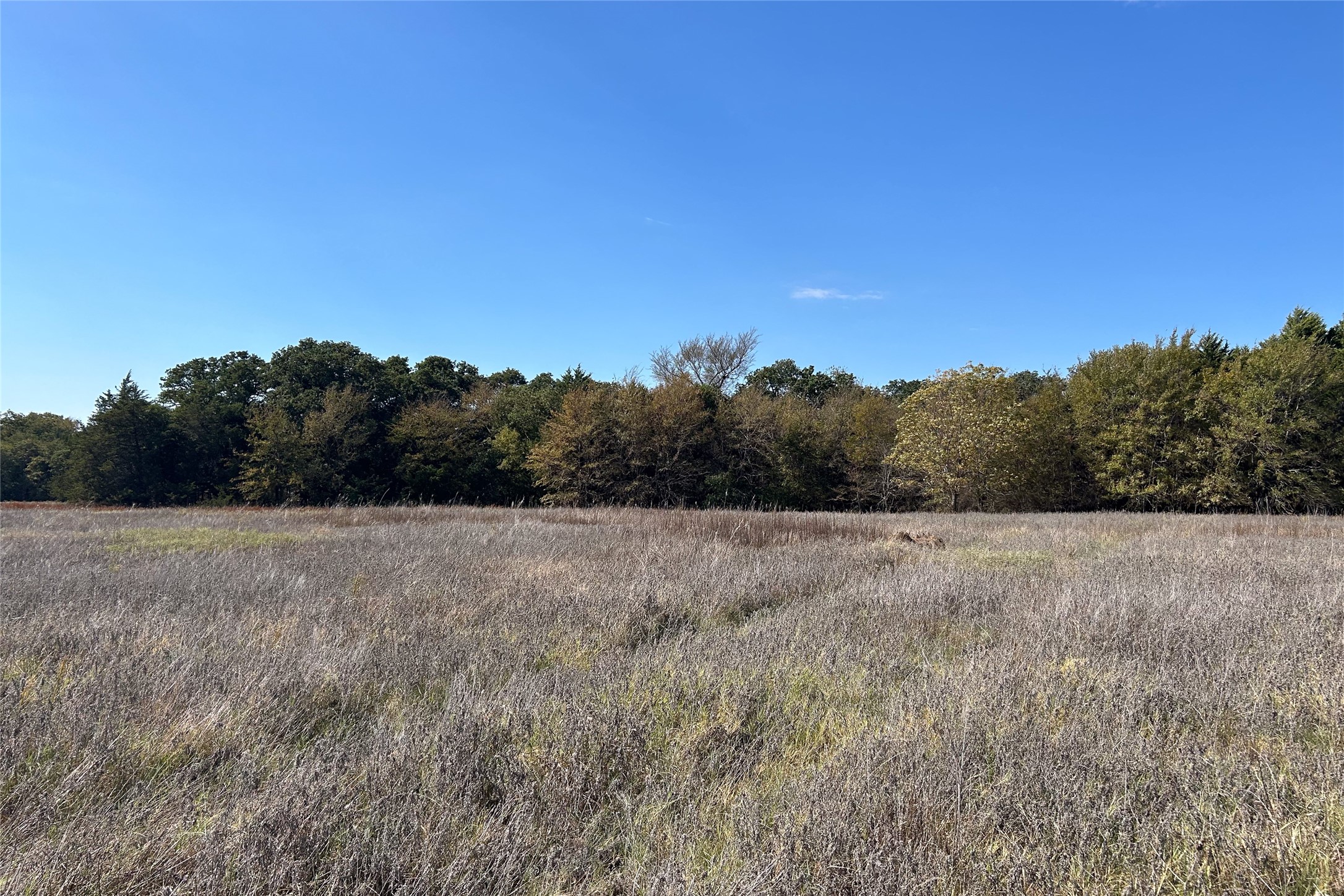 TBD8 County Road 141 Callisburg TX 76240