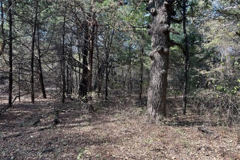 TBD8 County Road 141 Callisburg TX 76240