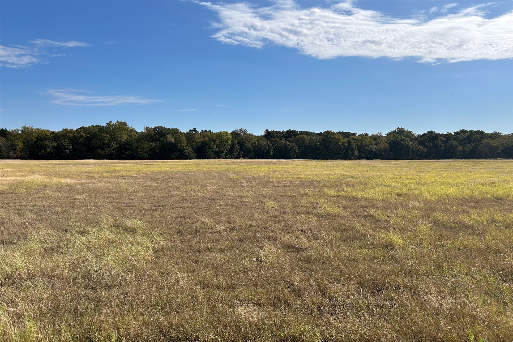 TBD8 County Road 141 Callisburg TX 76240