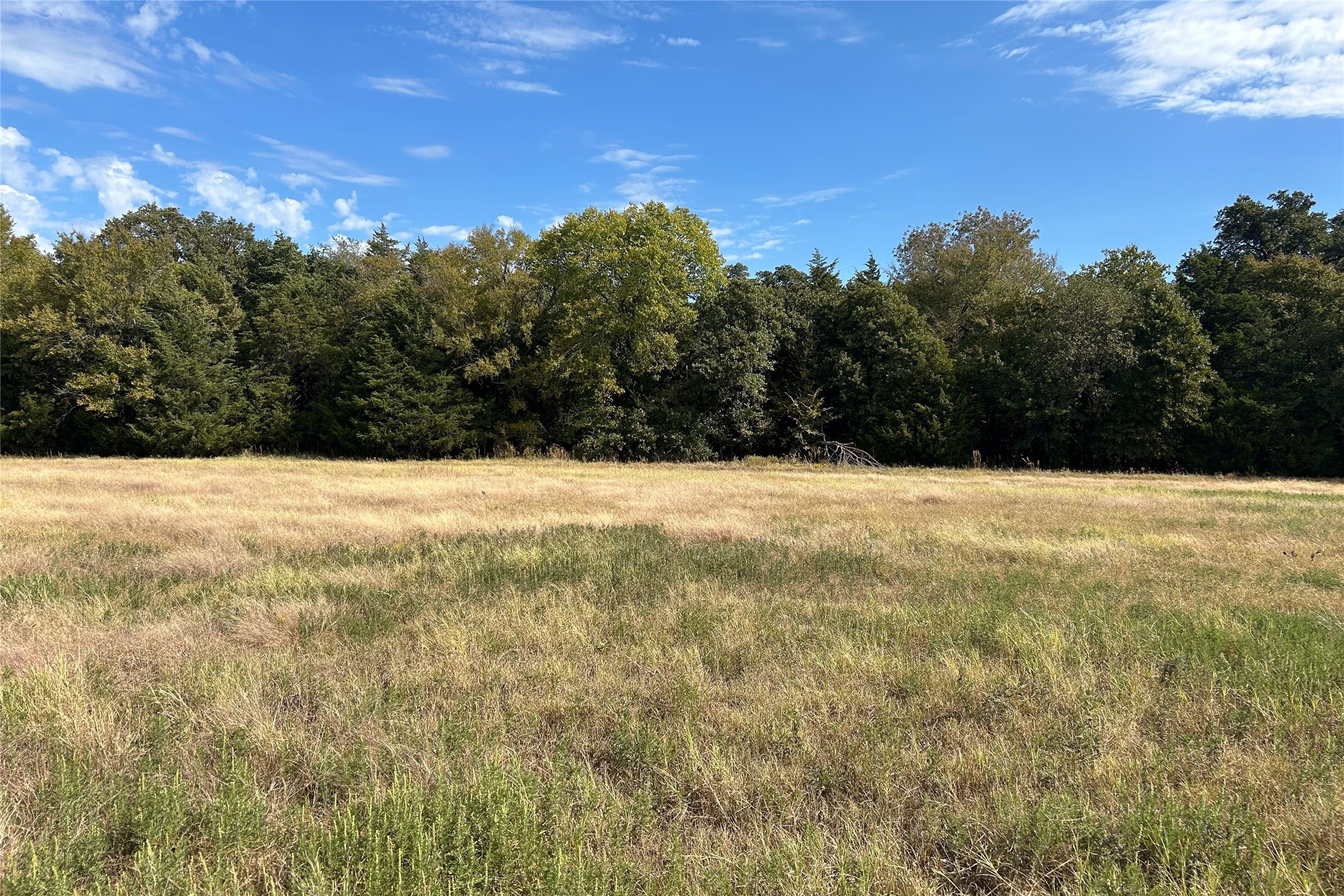 TBD8 County Road 141 Callisburg TX 76240
