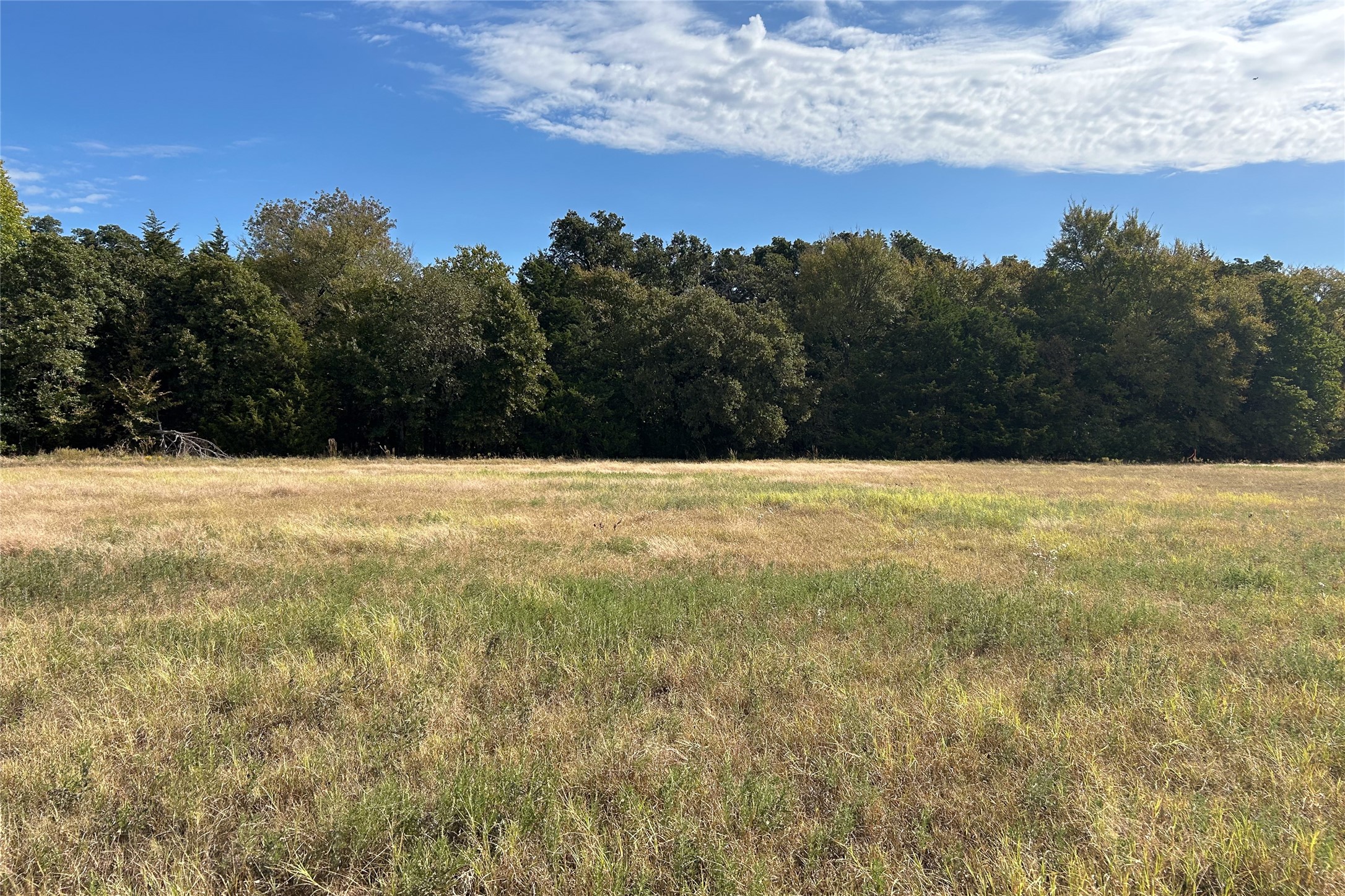 TBD8 County Road 141 Callisburg TX 76240