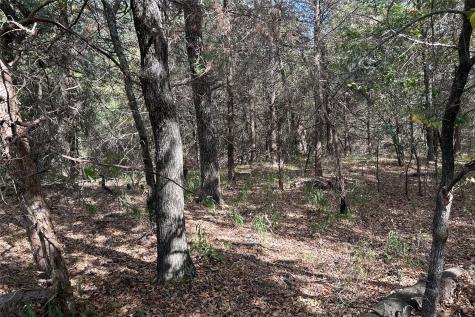 TBD8 County Road 141 Callisburg TX 76240