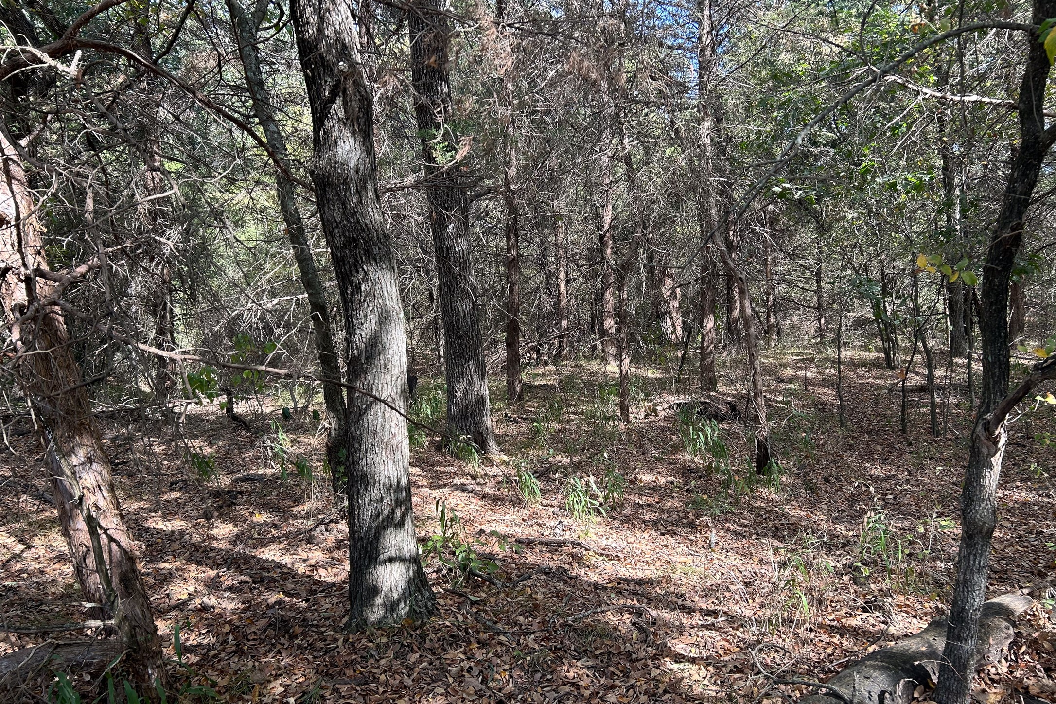 TBD8 County Road 141 Callisburg TX 76240