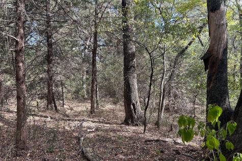 TBD8 County Road 141 Callisburg TX 76240