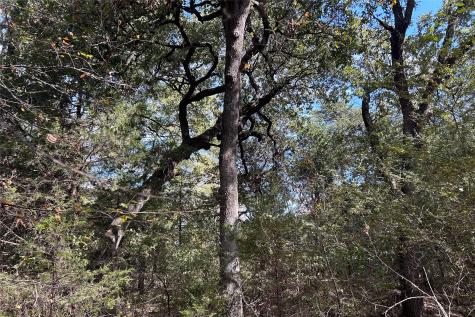 TBD8 County Road 141 Callisburg TX 76240