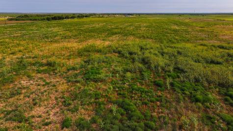 Tbd Wofford Road Quanah TX 79252