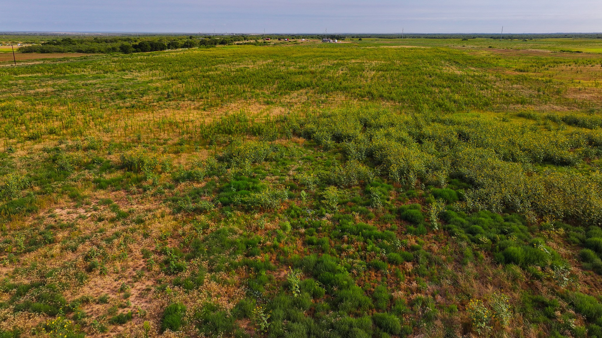 Tbd Wofford Road Quanah TX 79252