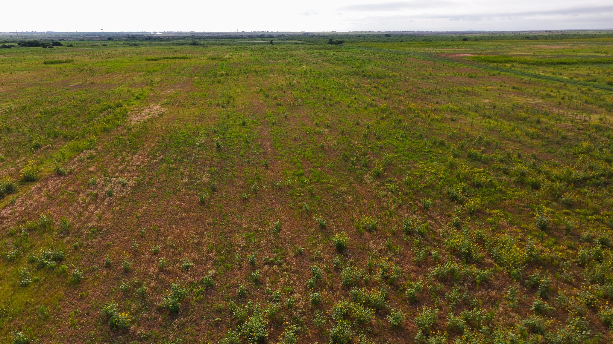 Tbd Wofford Road Quanah TX 79252