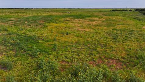Tbd Wofford Road Quanah TX 79252