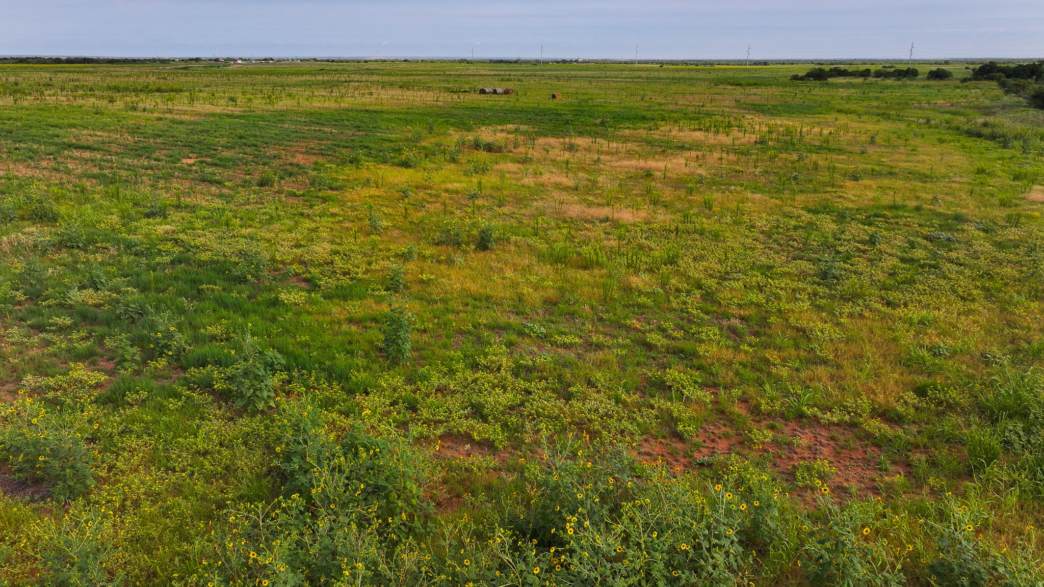 Tbd Wofford Road Quanah TX 79252