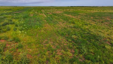 Tbd Wofford Road Quanah TX 79252