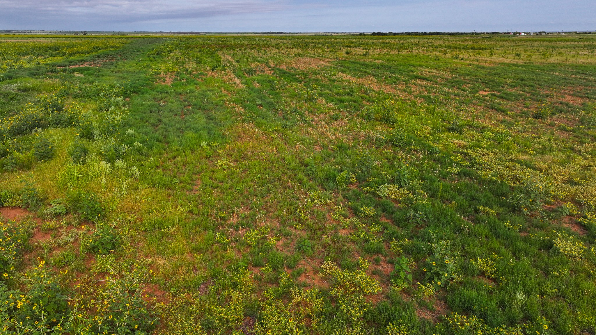 Tbd Wofford Road Quanah TX 79252