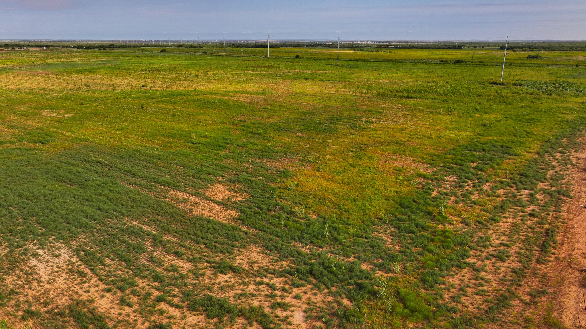 Tbd Wofford Road Quanah TX 79252
