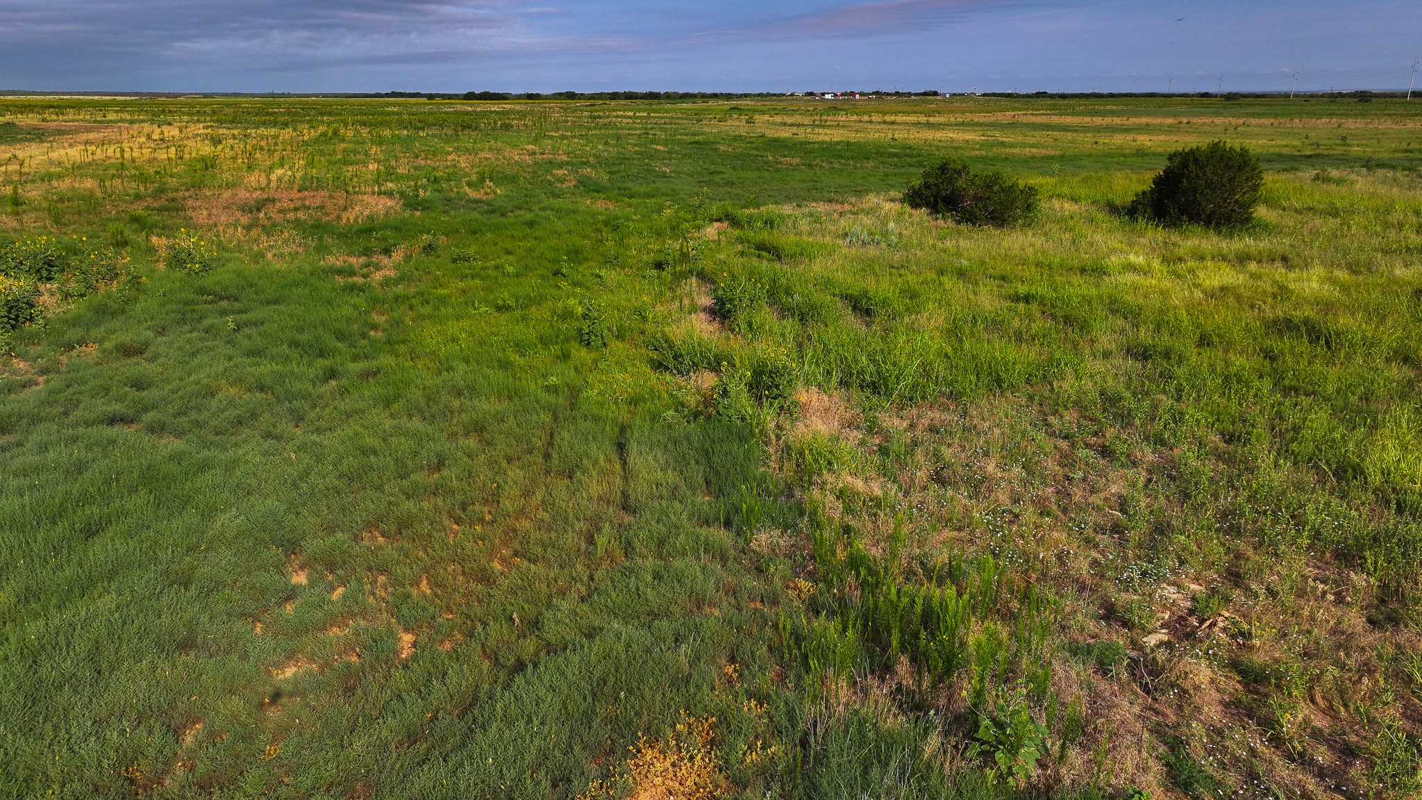 Tbd Wofford Road Quanah TX 79252