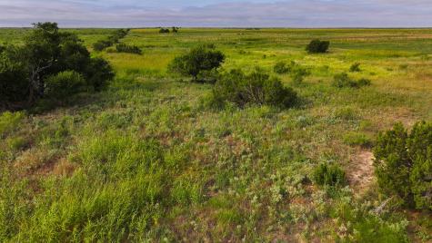 TBD Wofford Road Quanah TX 79252