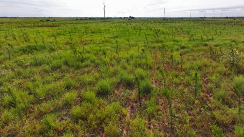Tbd Wofford Road Quanah TX 79252