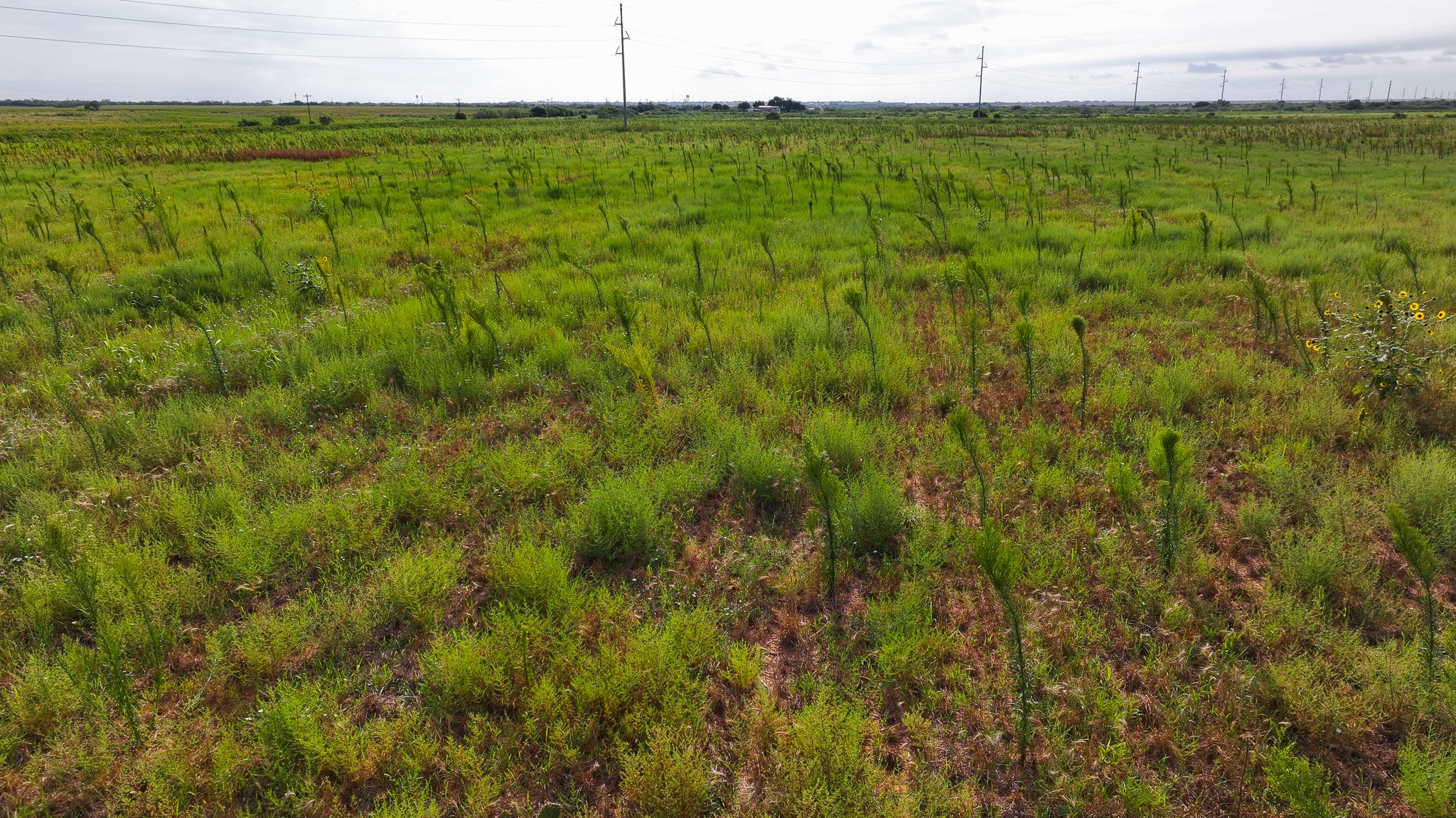 Tbd Wofford Road Quanah TX 79252