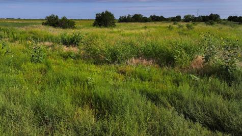 Tbd Wofford Road Quanah TX 79252