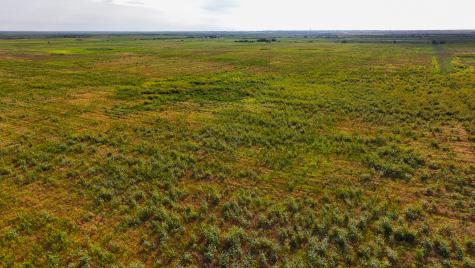 Tbd Wofford Road Quanah TX 79252