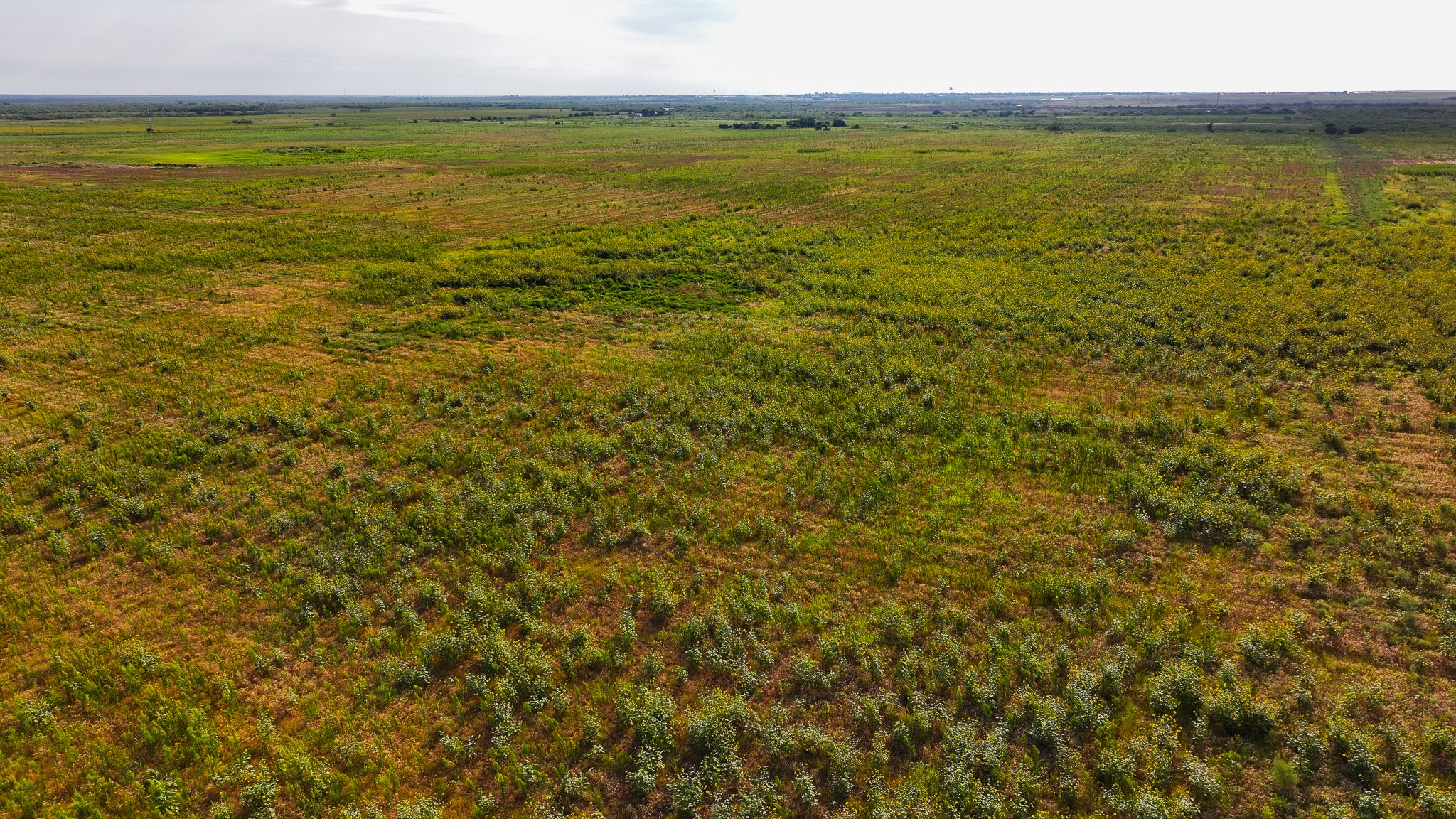 Tbd Wofford Road Quanah TX 79252