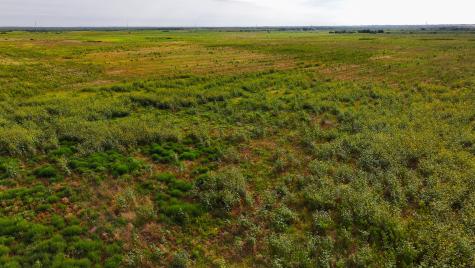Tbd Wofford Road Quanah TX 79252