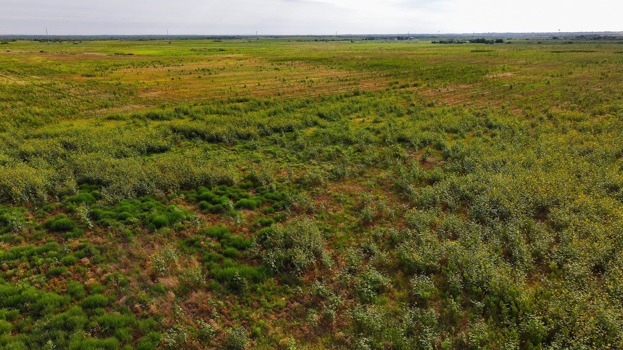 Tbd Wofford Road Quanah TX 79252