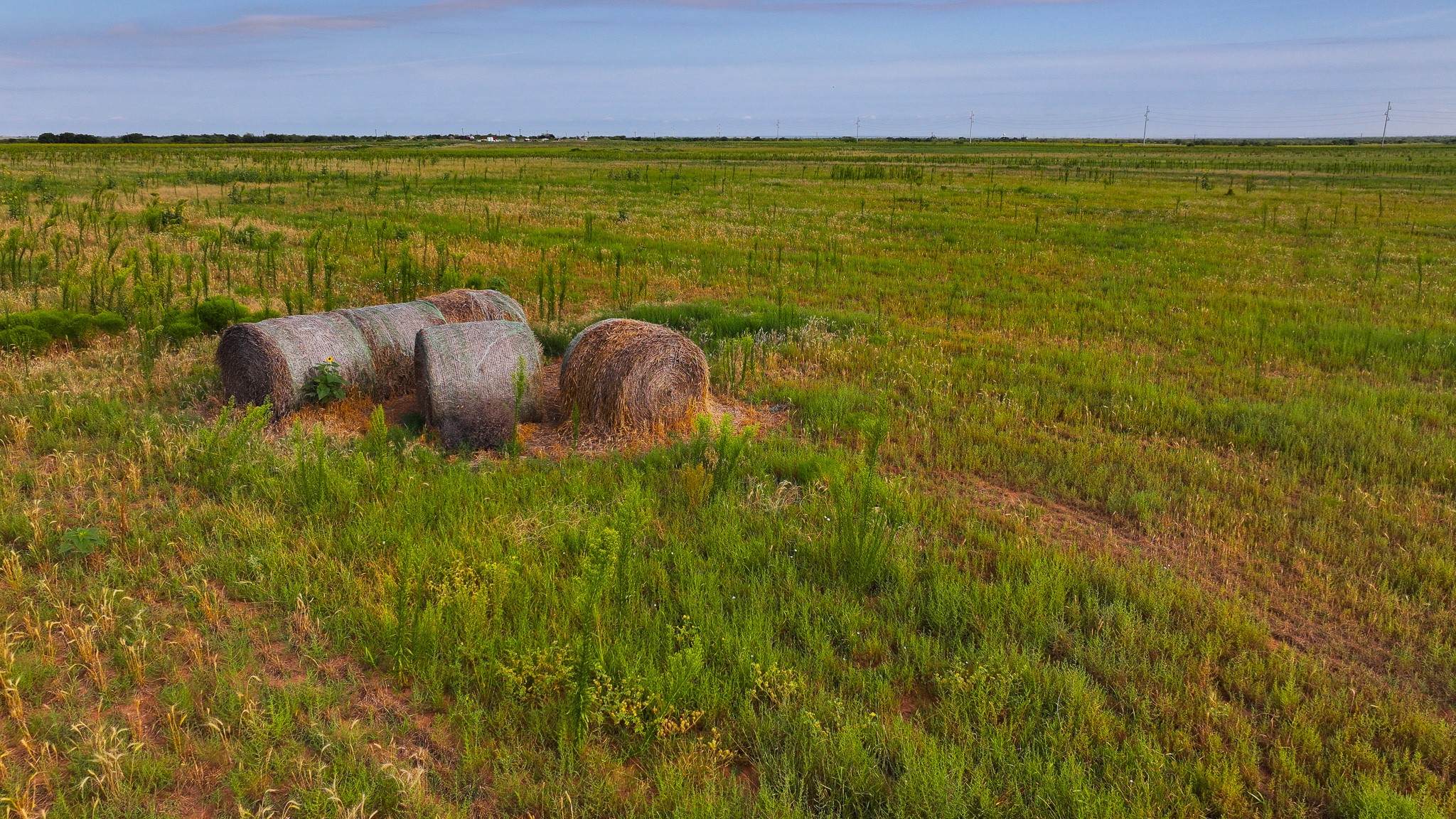 Tbd Wofford Road Quanah TX 79252