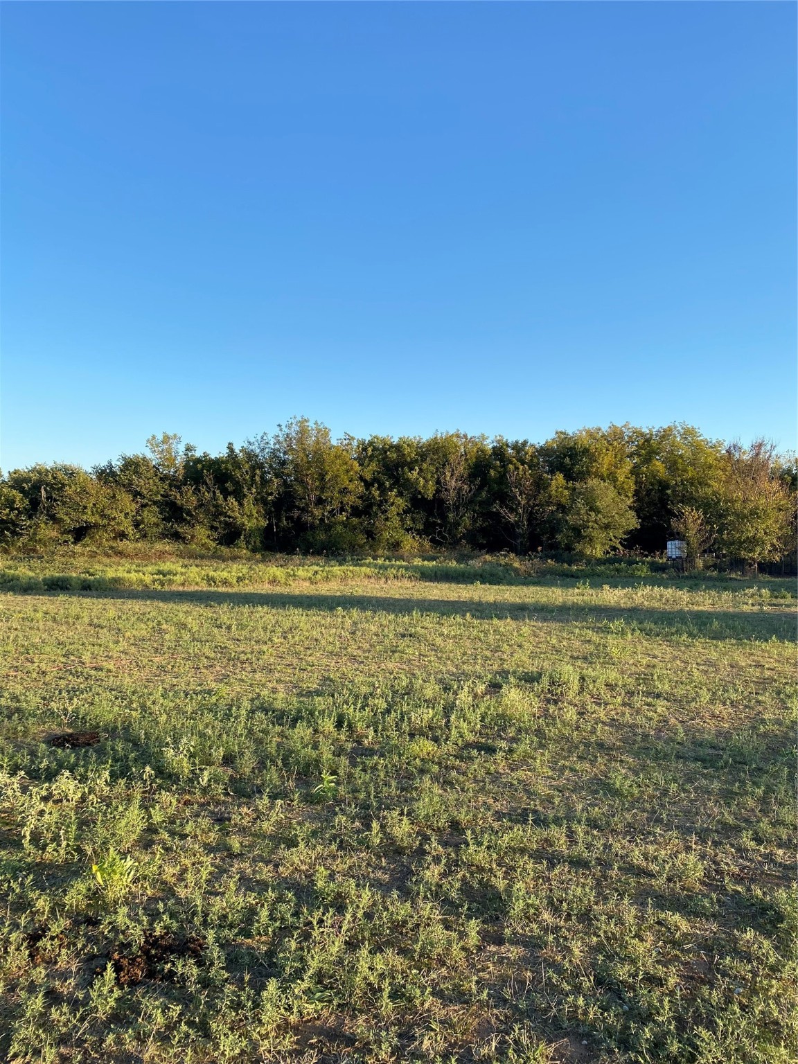 Tbd Cr 2675 Alvord TX 76225