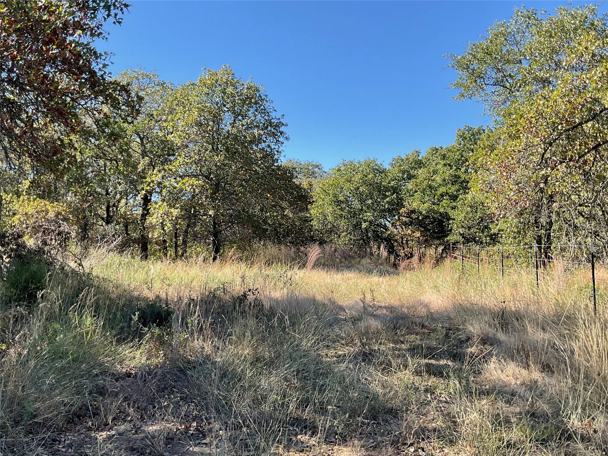 Tbd Cr 2675 Alvord TX 76225