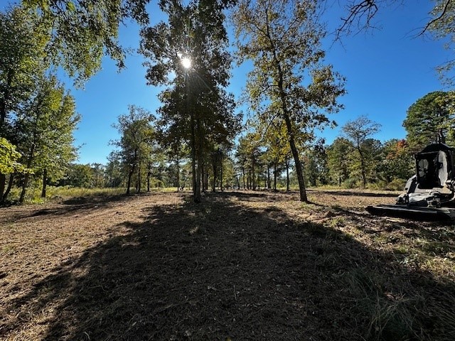 Legacy Shores Lot 21 3142 Shadow Pine Drive Larue TX 75770
