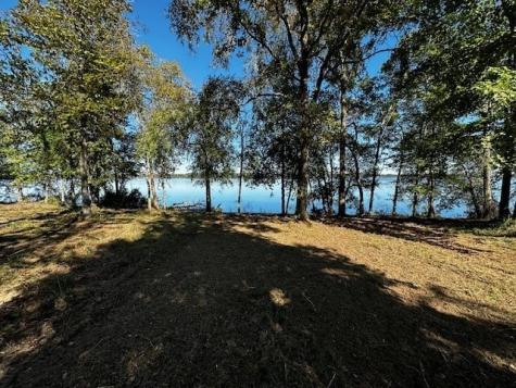 Legacy Shores Lot 21 3142 Shadow Pine Drive Larue TX 75770
