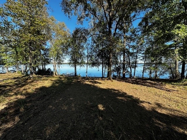 Legacy Shores Lot 21 3142 Shadow Pine Drive Larue TX 75770