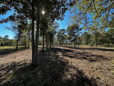Legacy Shores Lot 21 3142 Shadow Pine Drive Larue TX 75770
