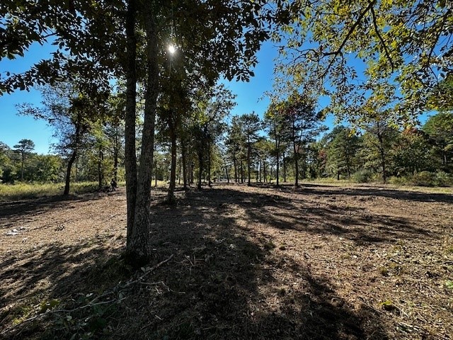 Legacy Shores Lot 21 3142 Shadow Pine Drive Larue TX 75770