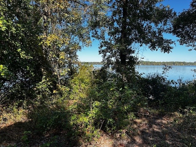 Legacy Shores Lot 21 3142 Shadow Pine Drive Larue TX 75770