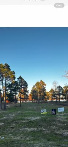 Legacy Shores Lot 21 3142 Shadow Pine Drive Larue TX 75770