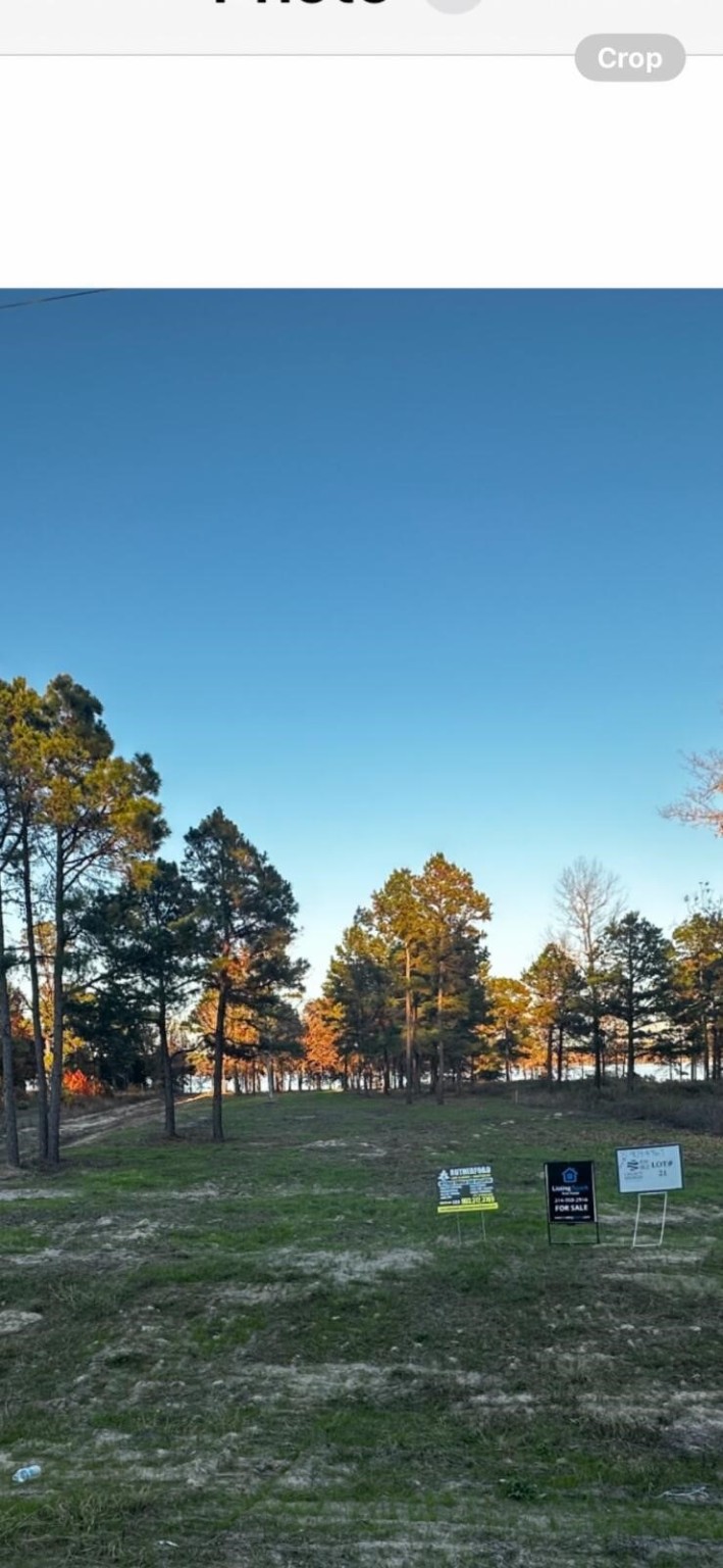 Legacy Shores Lot 21 3142 Shadow Pine Drive Larue TX 75770