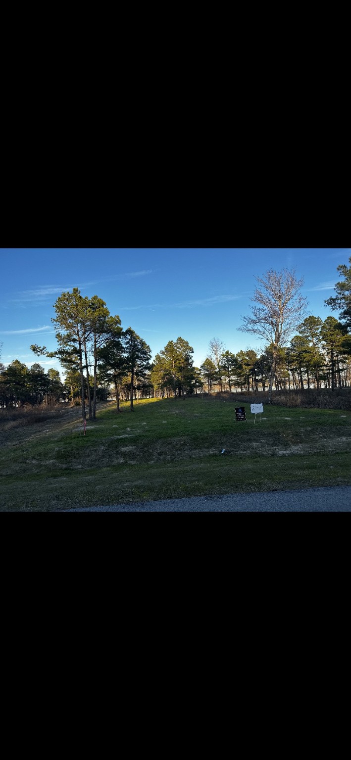 Legacy Shores Lot 21 3142 Shadow Pine Drive Larue TX 75770