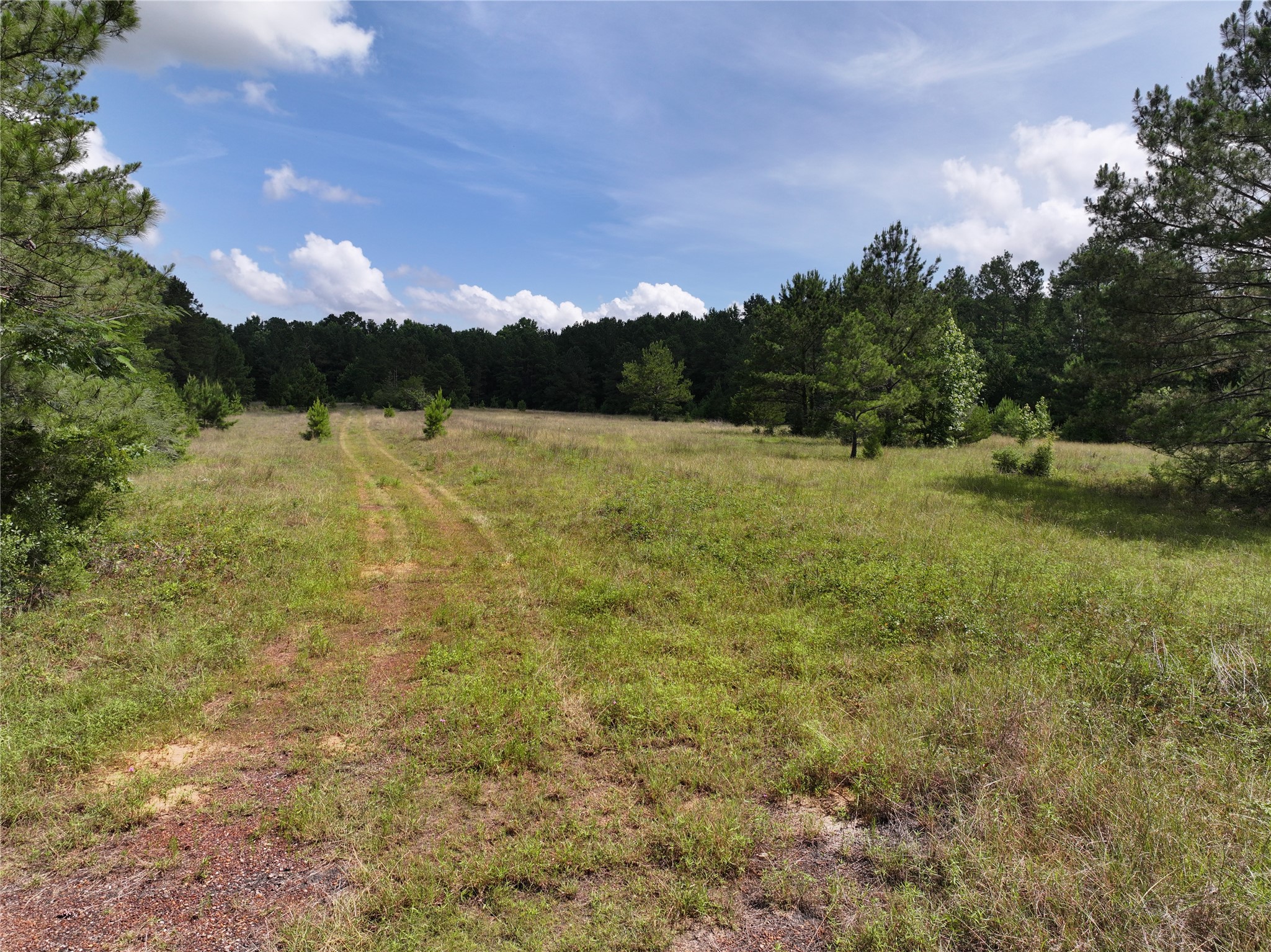 Na Cr 3050 Woodville TX 75938