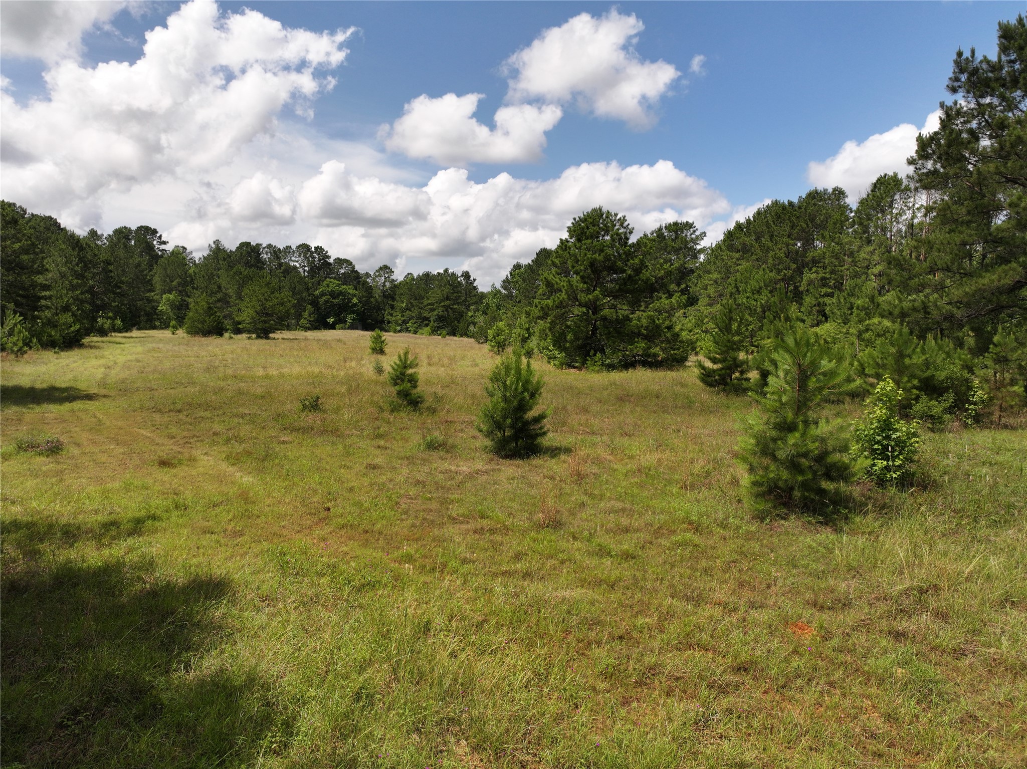 Na Cr 3050 Woodville TX 75938