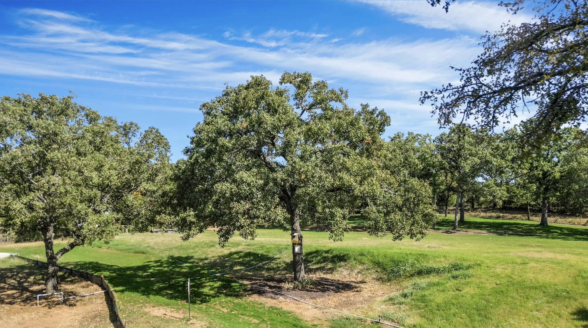 9897 Macaway Drive Argyle TX 76226