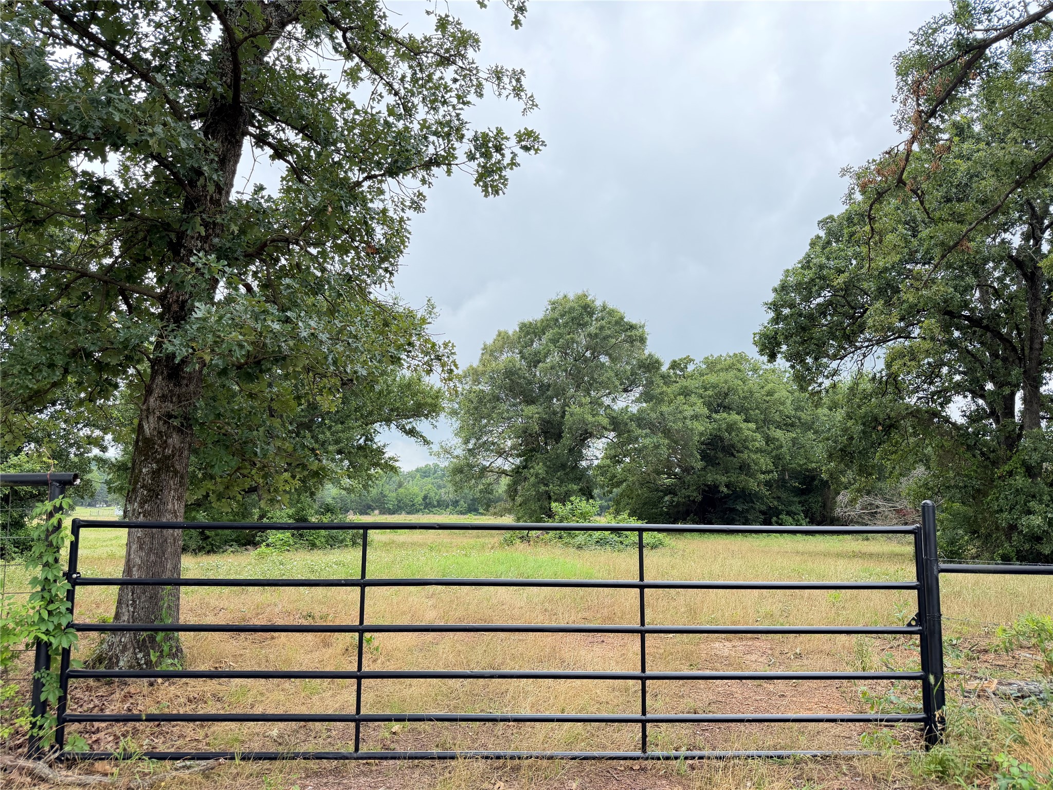 Tbd Fm 1000 Cookville TX 75558