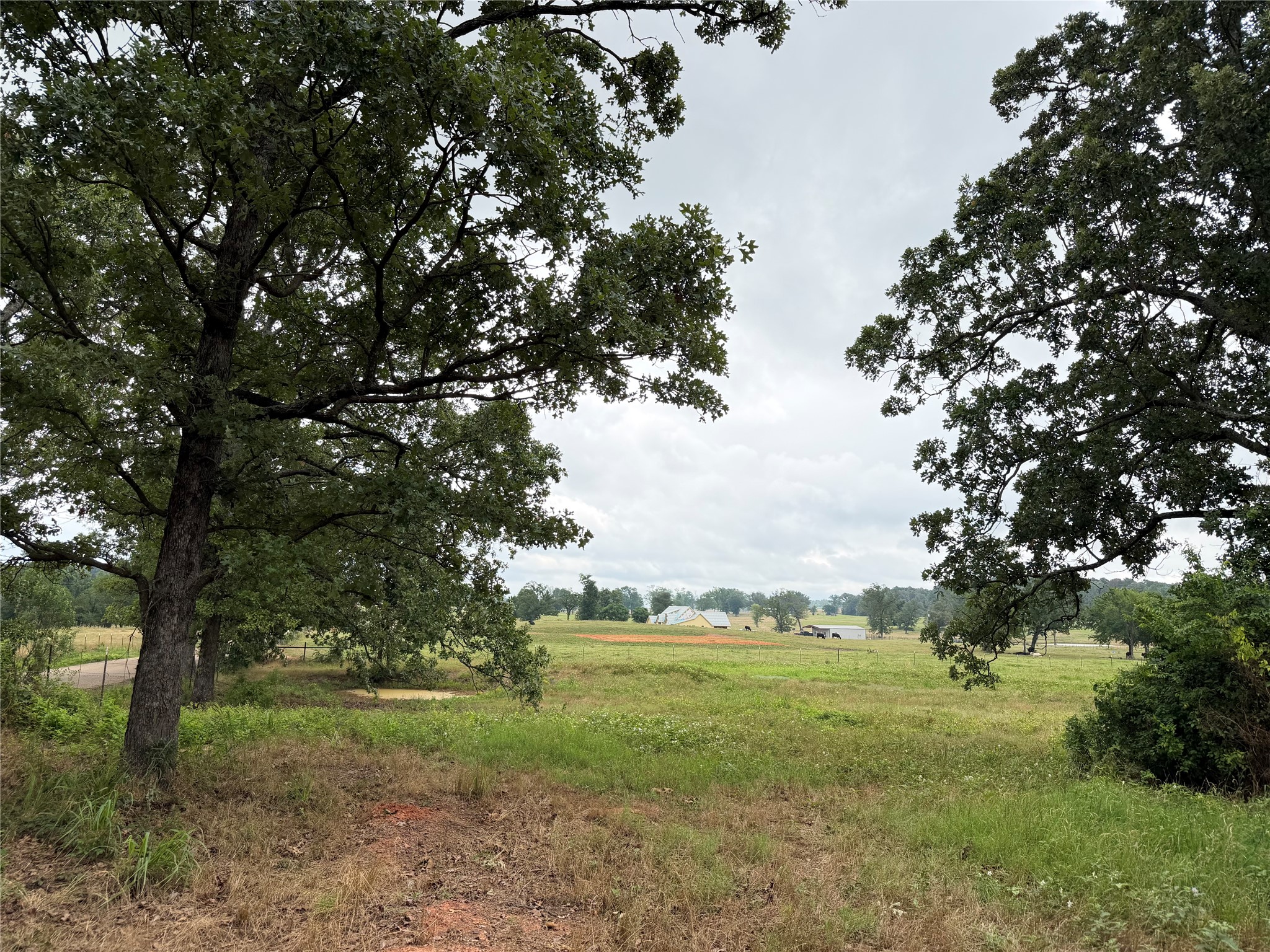 Tbd Fm 1000 Cookville TX 75558