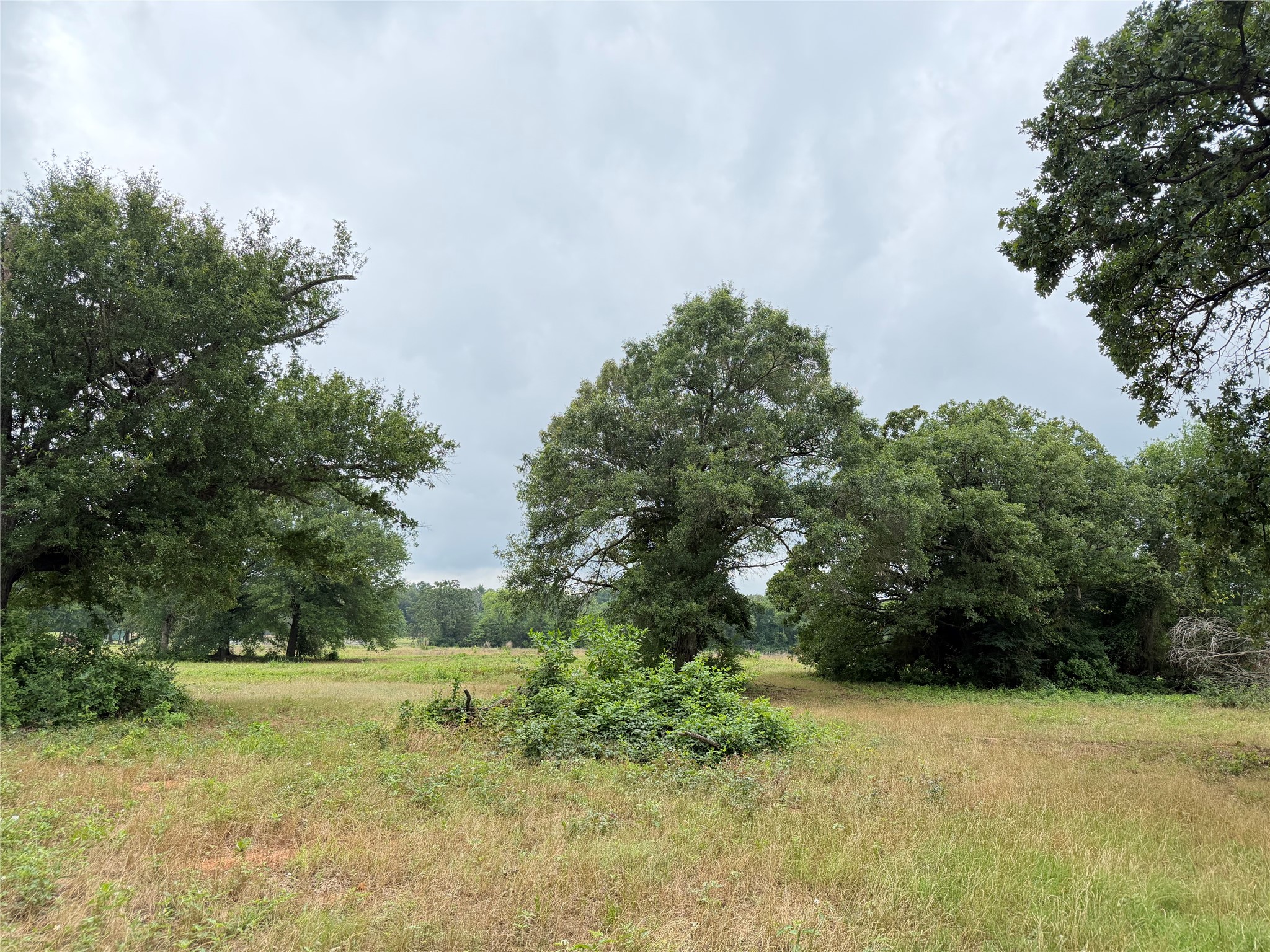 Tbd Fm 1000 Cookville TX 75558