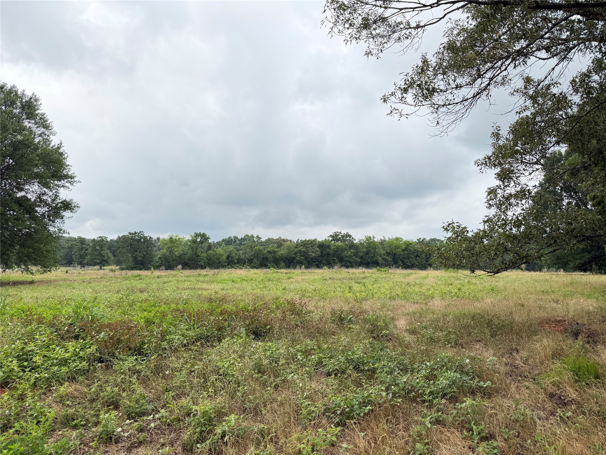 Tbd Fm 1000 Cookville TX 75558
