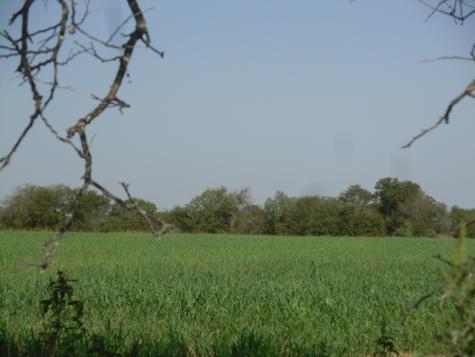 103 Hcr 3361 Hubbard TX 76648